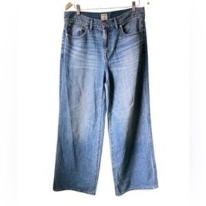 Madewell Molly Dickson Baggy Wide Leg Medium Wash Jeans 29